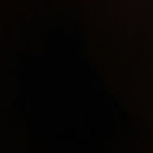 Meet your Posher, Dennis